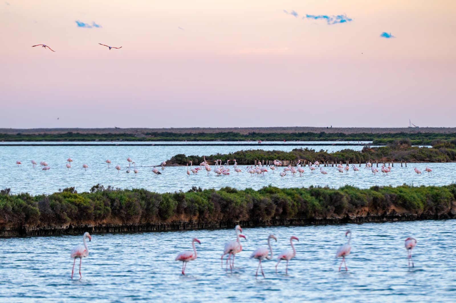 Las Salinas Natural Park