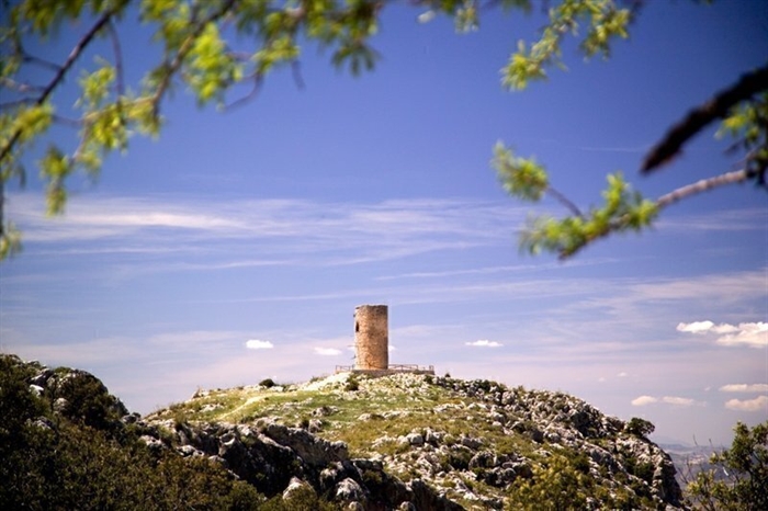 Parque Natural Sierra de Huétor — photo from their website