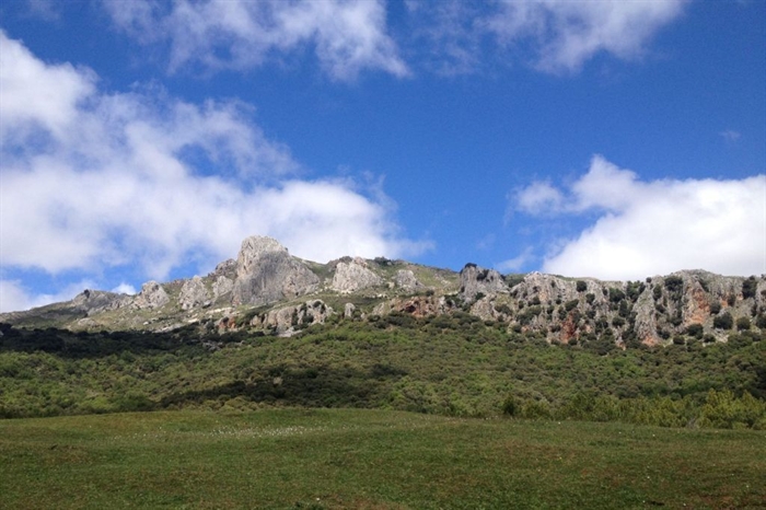 Parque Natural Sierra de Huétor — photo from their website