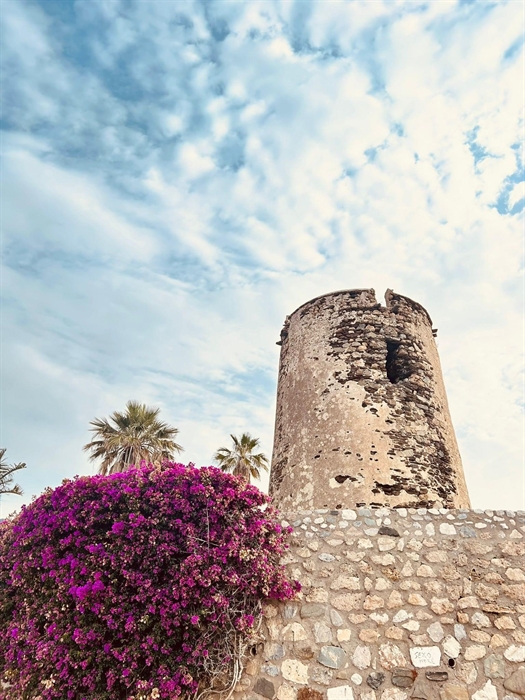 Torre Vigía de Torremuelle